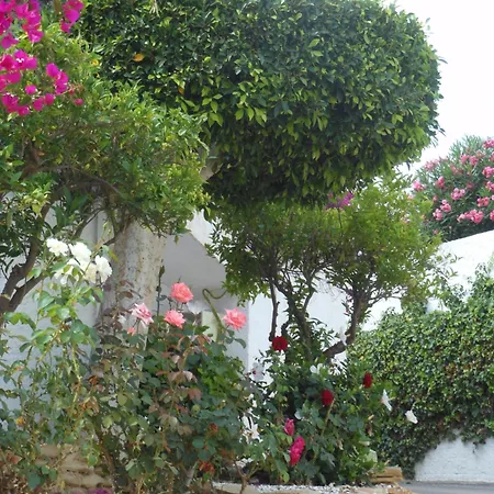 Apartment Palmeras Del Cantal *